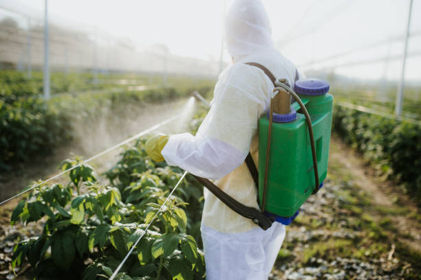 Trusted Leisure Village West, NJ Pest Control Experts